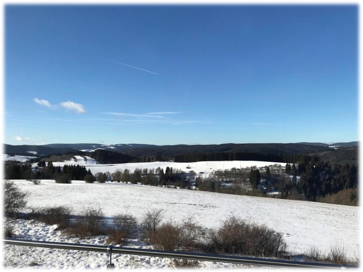 Ferienwohnung Fuchsbau Im Eg Des Ferienhauses Falkenhoehe Oberweißbach Exterior foto